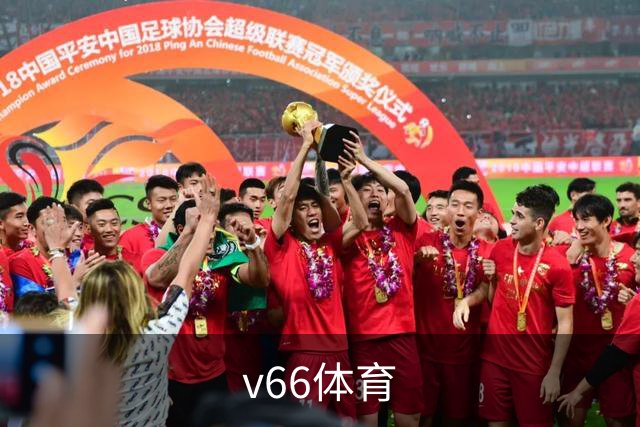 v66体育公司环境